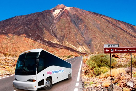 Ausflug Teide Nationalpark