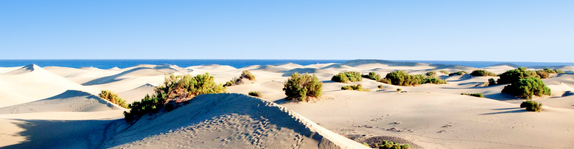 Dinge die man auf Gran canaria erleben kann